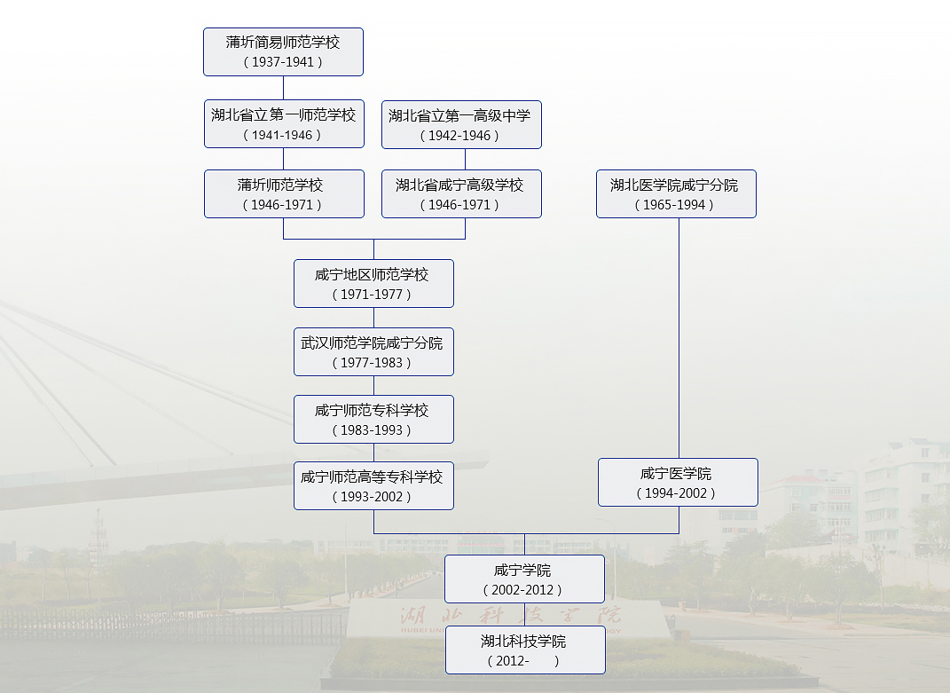 6686体育app官网